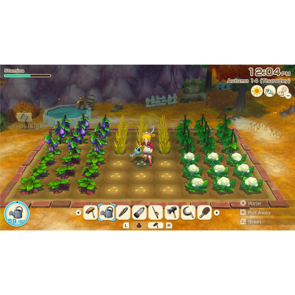 STORY OF SEASONS: Grand Bazaar Nintendo Switch 2 Edition